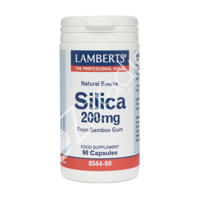 SILICIO 200MG 90CAP