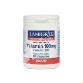 VITAMINA B1 TIAMINA 90CAP