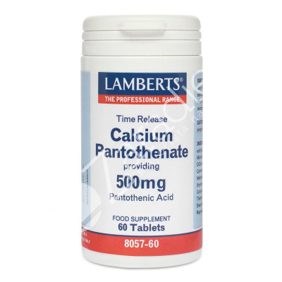 PANTOTENATO DE CALCIO 500MG 60TAB