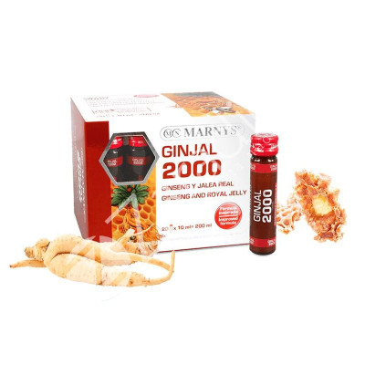 GINJAL 20AMP