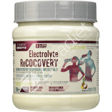 ELECTROLYTE RECOVERY SPORTS 450G