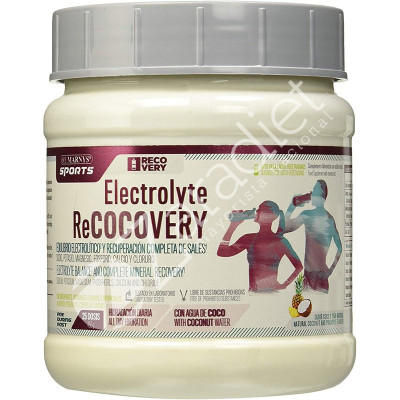 ELECTROLYTE RECOVERY SPORTS 450G