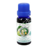ACEITE ESENCIAL DE JENGIBRE 15ML