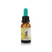 FORMULA 1 URGENCIAS COMPLEJO FLORAL 20ML