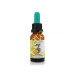 FORMULA 3 INTENSIDAD COMPLEJO FLORAL 20ML