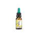 FORMULA 4 MIEDO/INSEGURIDAD 20ML