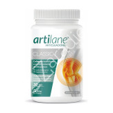ARTILANE CLASSIC POLVO 300G