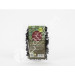 WAKAME IRLANDA BIO 50G