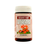 REISHI VIT FORTE 60CAP