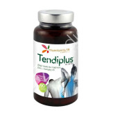 TENDIPLUS 90CAP