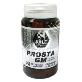 PROSTA GM 60CAP