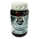 DIGEST BALANCE CLEANSE 120CAP