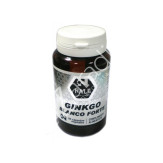 GINKGO BLANCO FORTE 60CAP