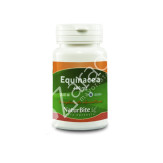 EQUINACEA 400MG 60CAP