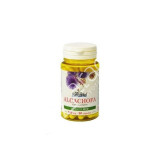 ALCACHOFA 150MG (EXTRACTO SECO) 50CAP - NATURE ESSENTIAL