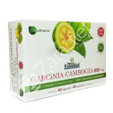 GARCINIA CAMBOGIA 800MG 60CAP - NATURE ESSENTIAL