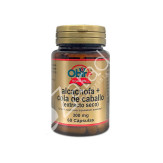 ALCACHOFA + COLA (EXTRACTO SECO) 300MG 60CAP - OBIRE