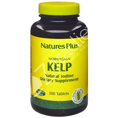 KELP YODO 300COMP