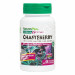 SAUZGATILLO (CHASTEBERRY) 60CAP 150MG