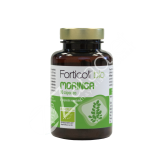 EXPERIENCE MORINGA BIO 90CAP - NATURGREEN