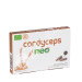 CORDYCEPS 60CAP