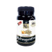 ASHWAGANDHA 30CAP