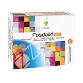 FOSDOLID PLUS  60CAP