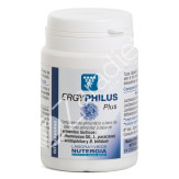 ERGYPHILUS PLUS 60CAP - NUTERGIA