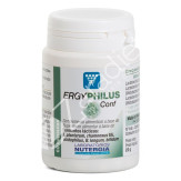 ERGYPHILUS CONFORT 60COMP - NUTERGIA