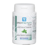 ERGYPROTECT CONF 60CAP - NUTERGIA