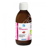 ERGYCRANBERRYL 250ML - NUTERGIA