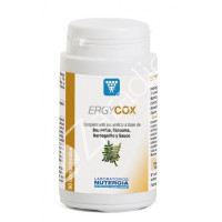 ERGYCOX 90COMP - NUTERGIA