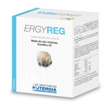 ERGYREG 60CAP - NUTERGIA