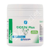 BICEBE PLUS 30CAP - NUTERGIA