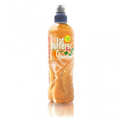 BEBIDA FAT BURNERS NARANJA 24UD