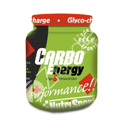 CARBO ENERGY FRESA 1KG