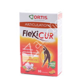 FLEXICUR 30COMP