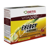 ENERGY GINSENG BIO 10X15ML