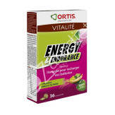 ENERGY ENDURANCE 36COMP