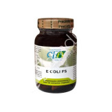 ECLI FS (E.COLI) 60CAP