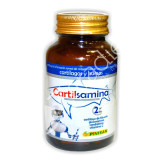 CARTILSAMIN 40 CAP