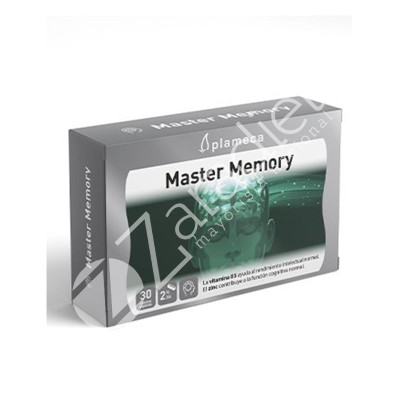 MASTER MEMORY 30CAP