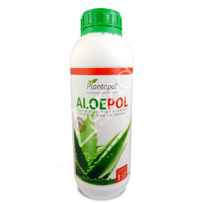 JUGO ALOE VERA ALOEPOL 1L