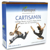 CARTISAMIN 140ML 14AMP