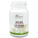 SALVIA ARTEMISA BIO 90COMP
