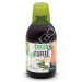GREEN COFFEE PLUS CON STEVIA 500ML