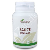 SAUCE BIO 500MG 100COMP