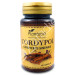 CORDYPOL CORDYCEPS SYNENSIS 515MG 60CAP
