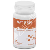 NAT BASE 60CAP