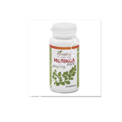 MORINGA FORTE 60CAP